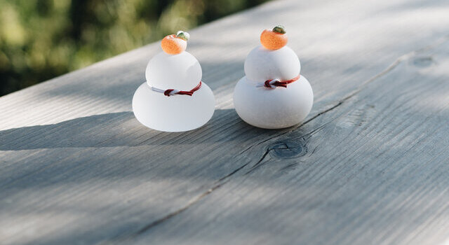 イロドリ 大人気 今年もクリスマスを飛び越えての鏡餅予約販売です イロドリ イロドリ キナリノモール