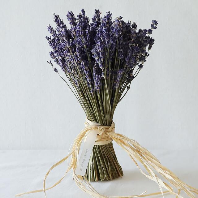 香り豊かなハーブの女王 ラベンダーと暮らす 土と風の植物園 ツチトカゼノショクブツエン キナリノモール