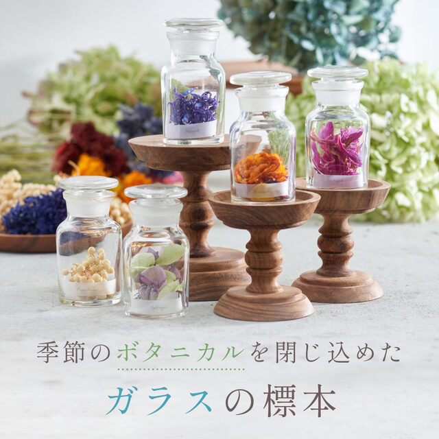季節の彩りを閉じ込めた、ガラスの植物標本が登場です - 土と風の