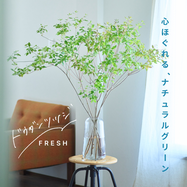 初夏のBIGな枝もの】明るいグリーンのドウダンツツジで、心も