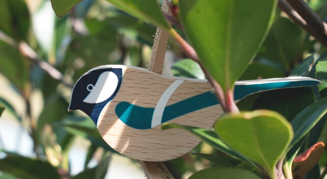 ジュリエット　ケペシュ『Birds』鳥 鳥たちの会話に耳を澄ませて。シジュウカラが教えてくれた、初夏の