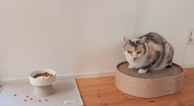 猫とわたしの愛用する 、インテリアに馴染む「bon moment cat