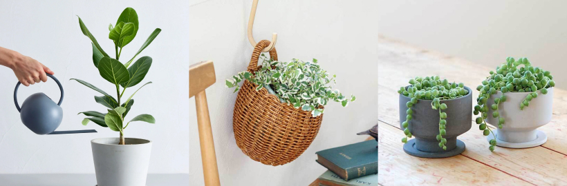 暮らしに花やグリーンを。
ナチュラルで癒される「植物のある暮らし」